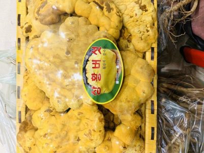 nấm thượng hoàng Hàn Quốc loại 0.5kg