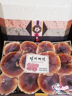 nấm linh chi đỏ núi đá Hàn Quốc loại 1kg