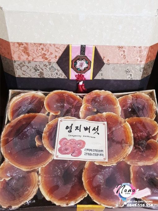 nấm linh chi đỏ núi đá Hàn Quốc loại 1kg