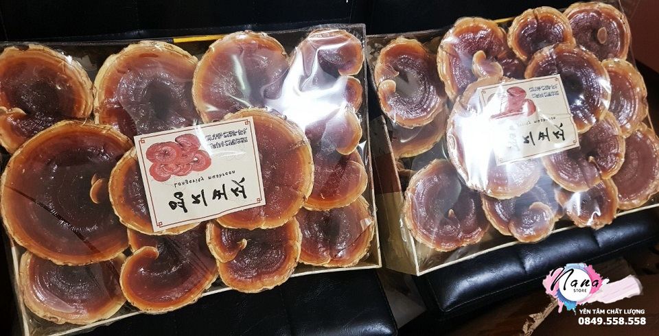 nấm linh chi đỏ núi đá Hàn Quốc hộp gấm cao cấp loại 1kg
